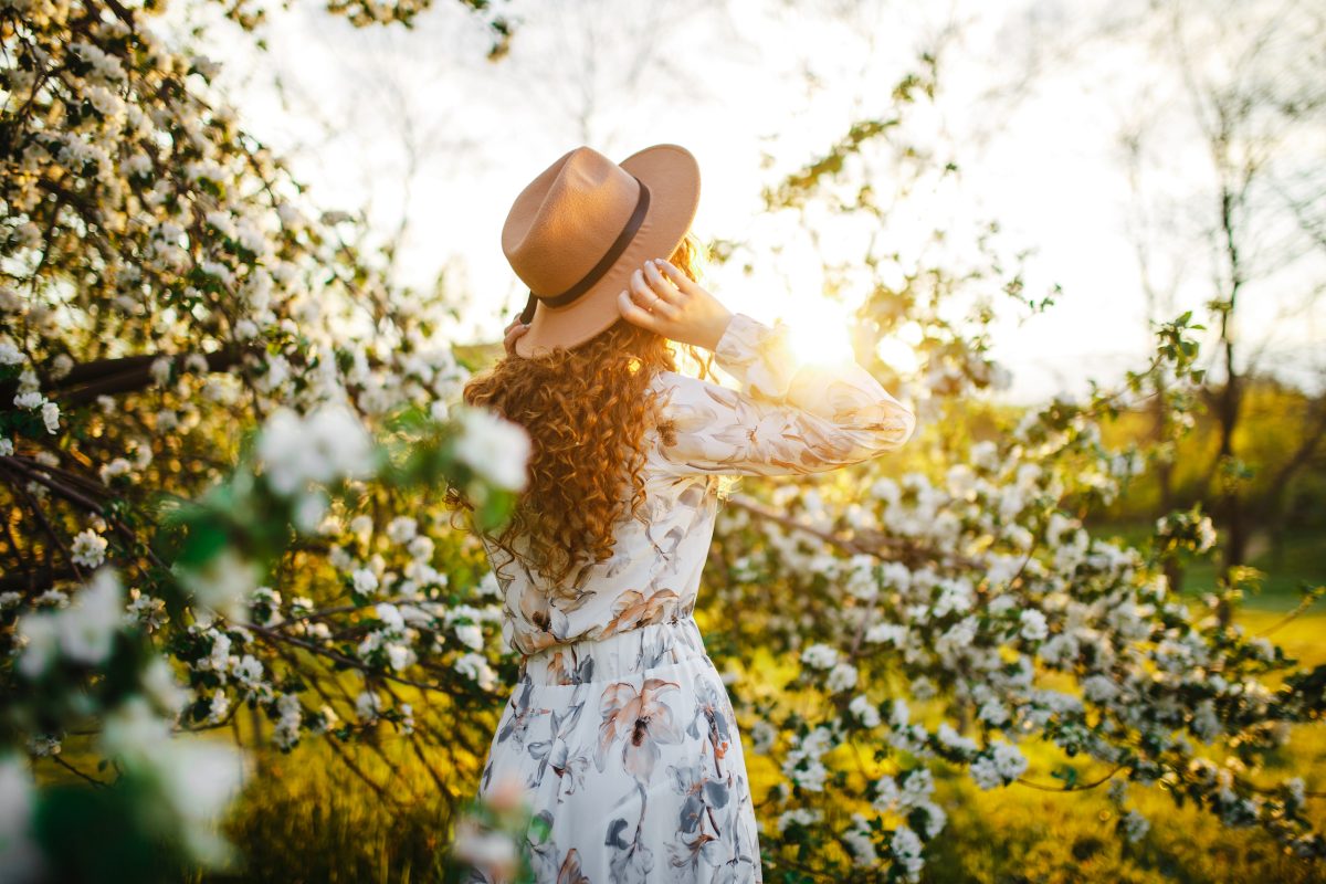 Backview of a young woman among the white blossom of the apple trees at the spring park. Female wearing white dress and beige hat feeling fresh and enjoys good weather on the sunset. Season change concept